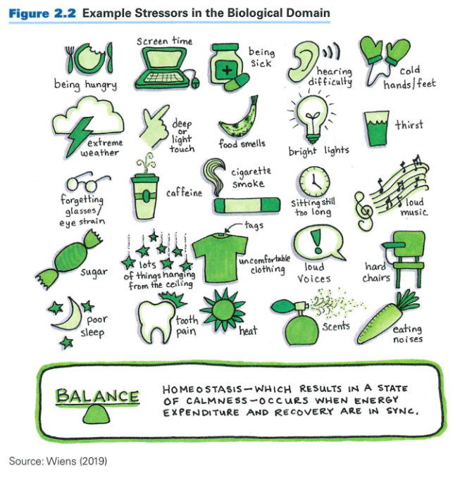 Image showing example stressors in the Biological Domain. E.g. Screen time, being hungry, being sick, hearing difficulty, cold hands and feet. 